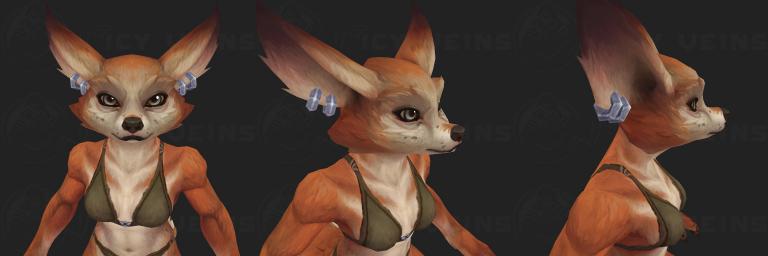 snout 2.jpg